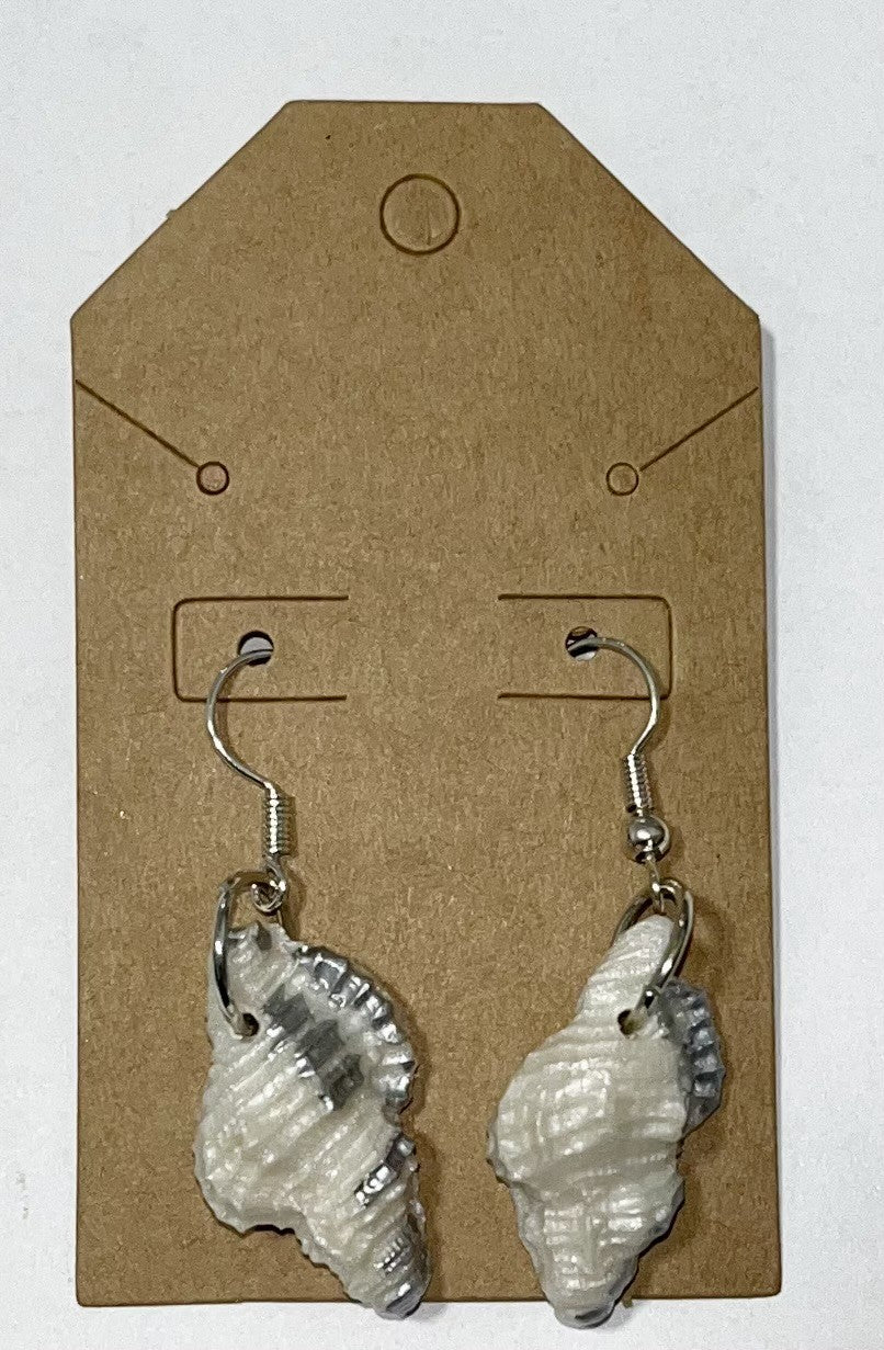 Conch Shell Earrings (Variant 2)