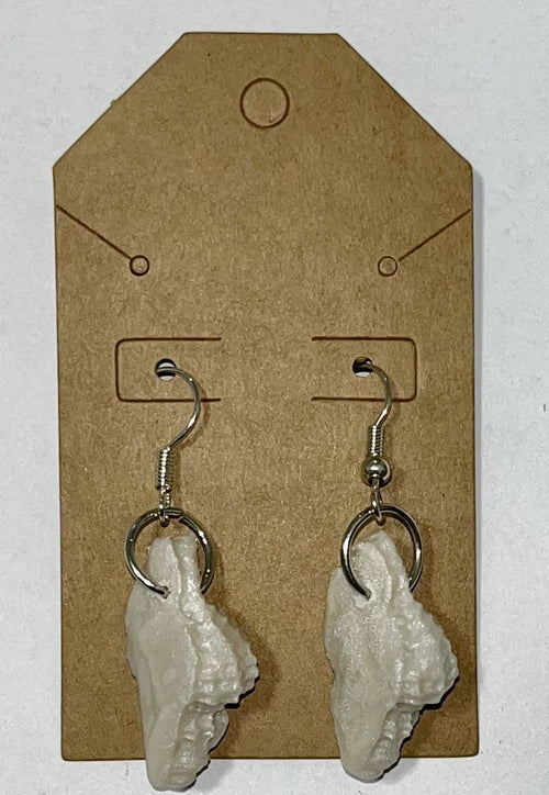 Conch Shell Earrings (Variant 2)